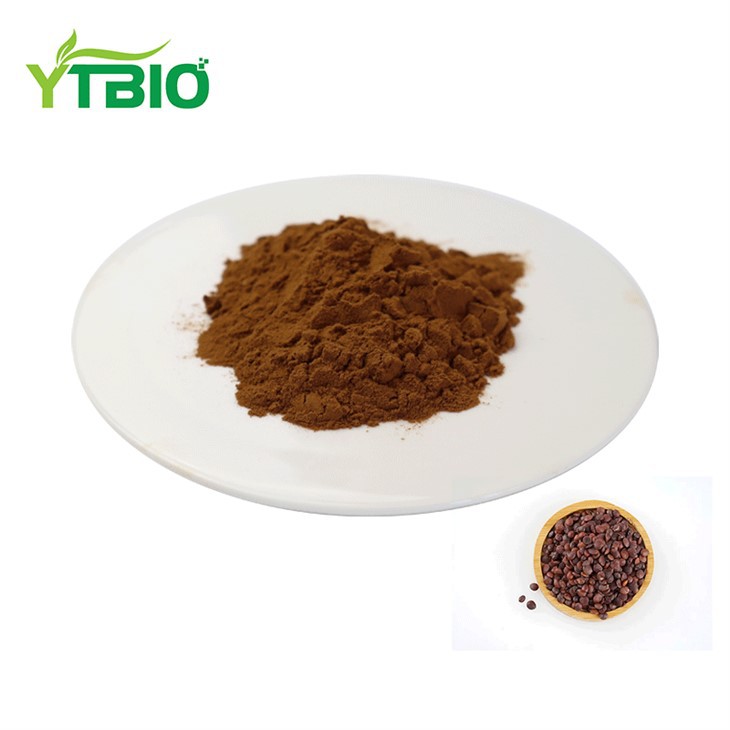 Jujube Extract Powder